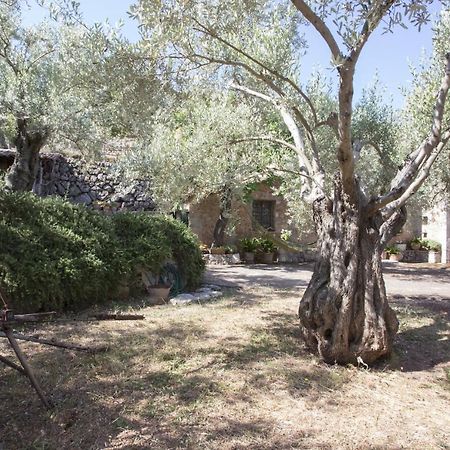 Villa Es Coco, Soller Puerto de Sóller Eksteriør billede