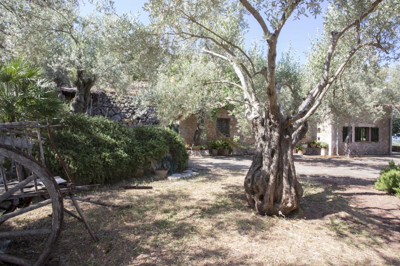 Villa Es Coco, Soller Puerto de Sóller Eksteriør billede