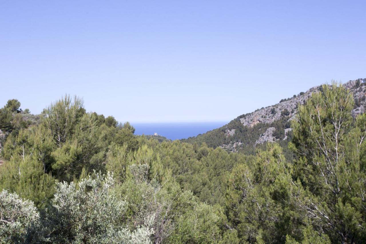 Villa Es Coco, Soller Puerto de Sóller Eksteriør billede