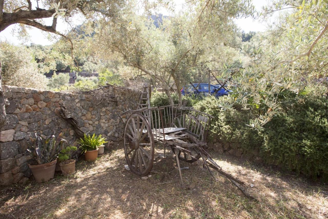 Villa Es Coco, Soller Puerto de Sóller Eksteriør billede