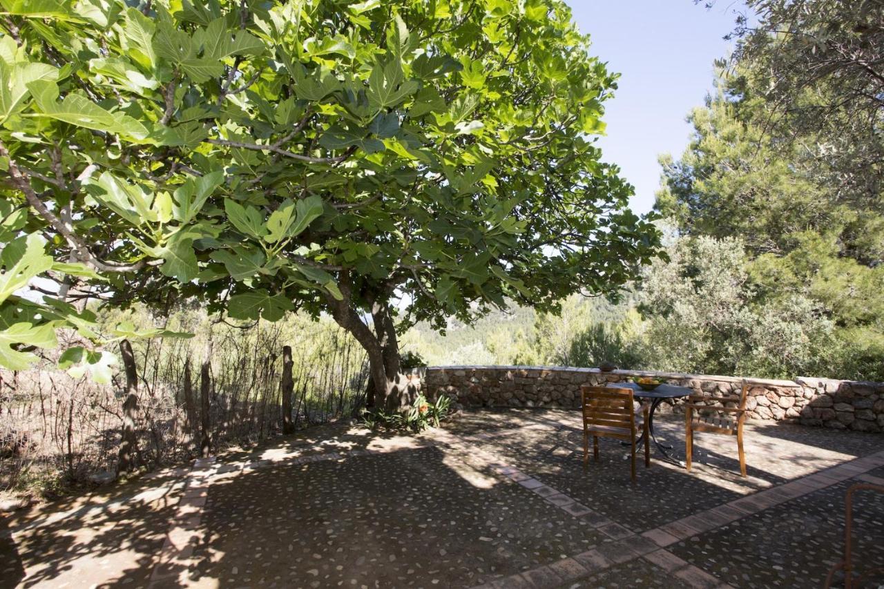 Villa Es Coco, Soller Puerto de Sóller Eksteriør billede