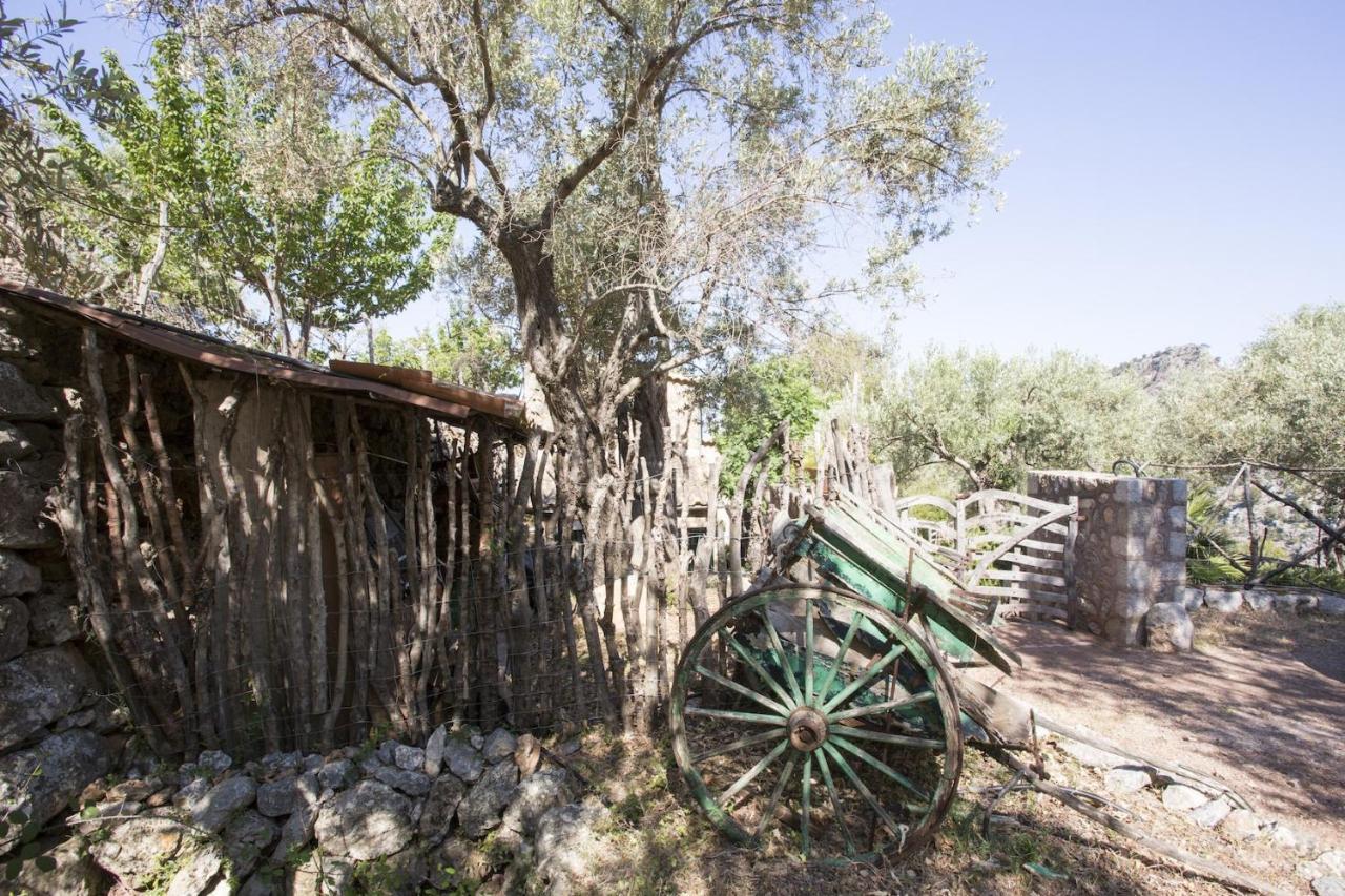 Villa Es Coco, Soller Puerto de Sóller Eksteriør billede