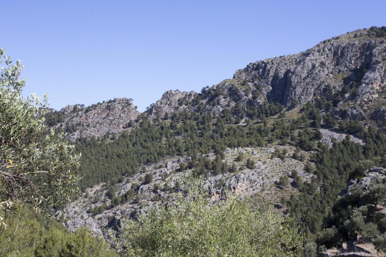 Villa Es Coco, Soller Puerto de Sóller Eksteriør billede