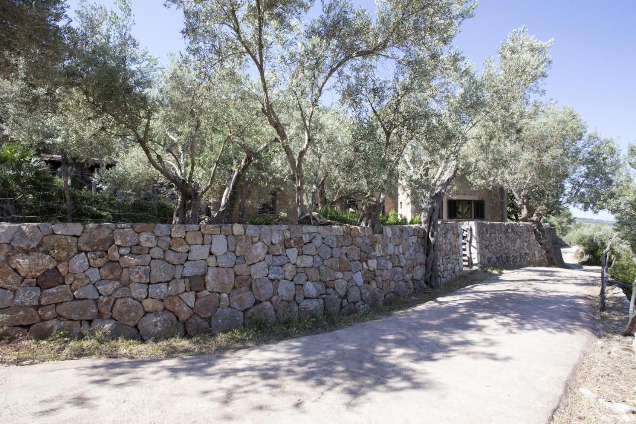 Villa Es Coco, Soller Puerto de Sóller Eksteriør billede