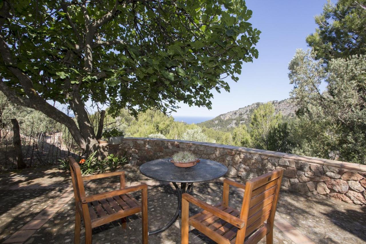 Villa Es Coco, Soller Puerto de Sóller Eksteriør billede