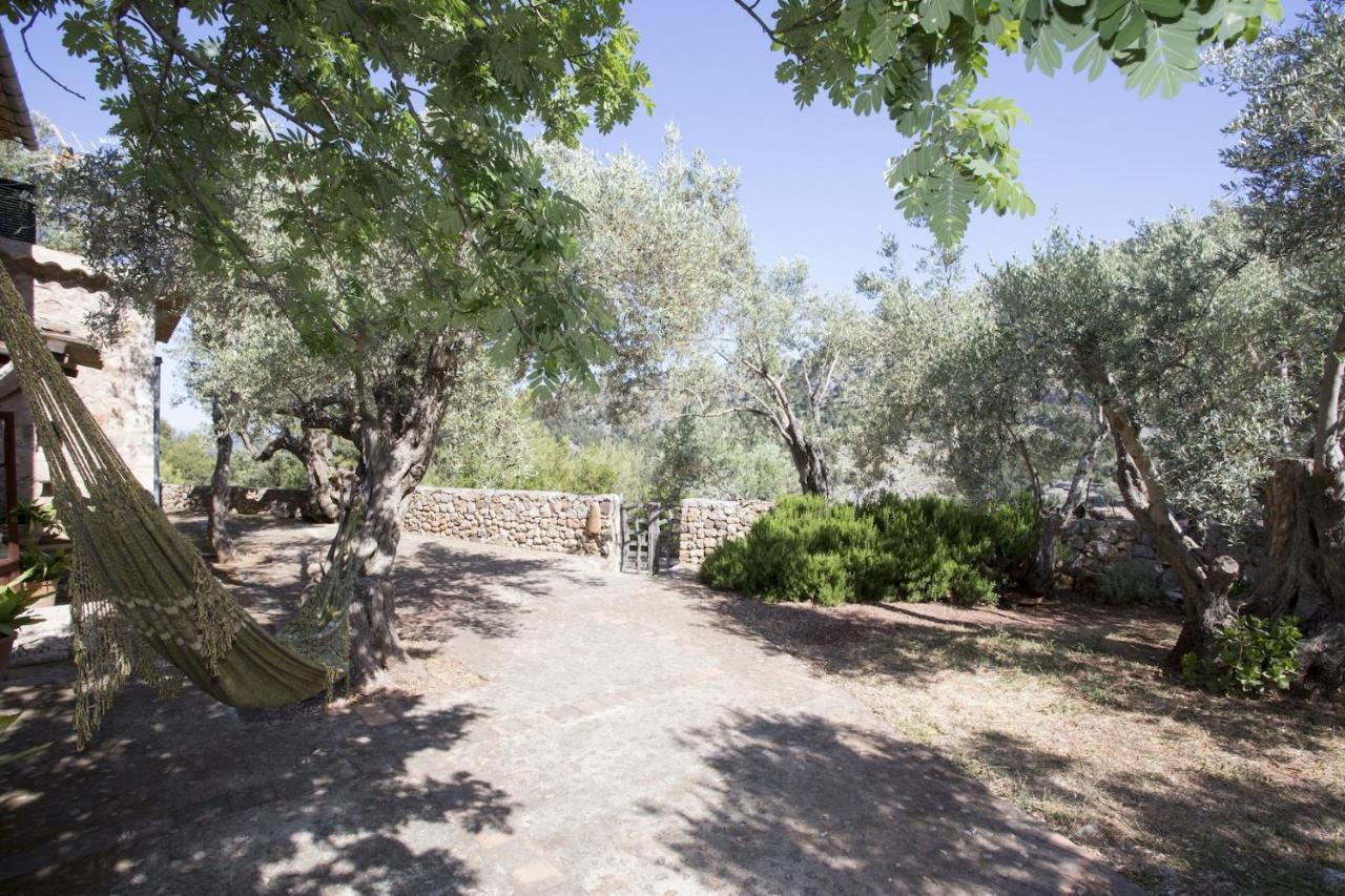 Villa Es Coco, Soller Puerto de Sóller Eksteriør billede